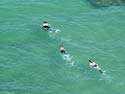 Photo 5 - Snorkeling at Hanauma Bay